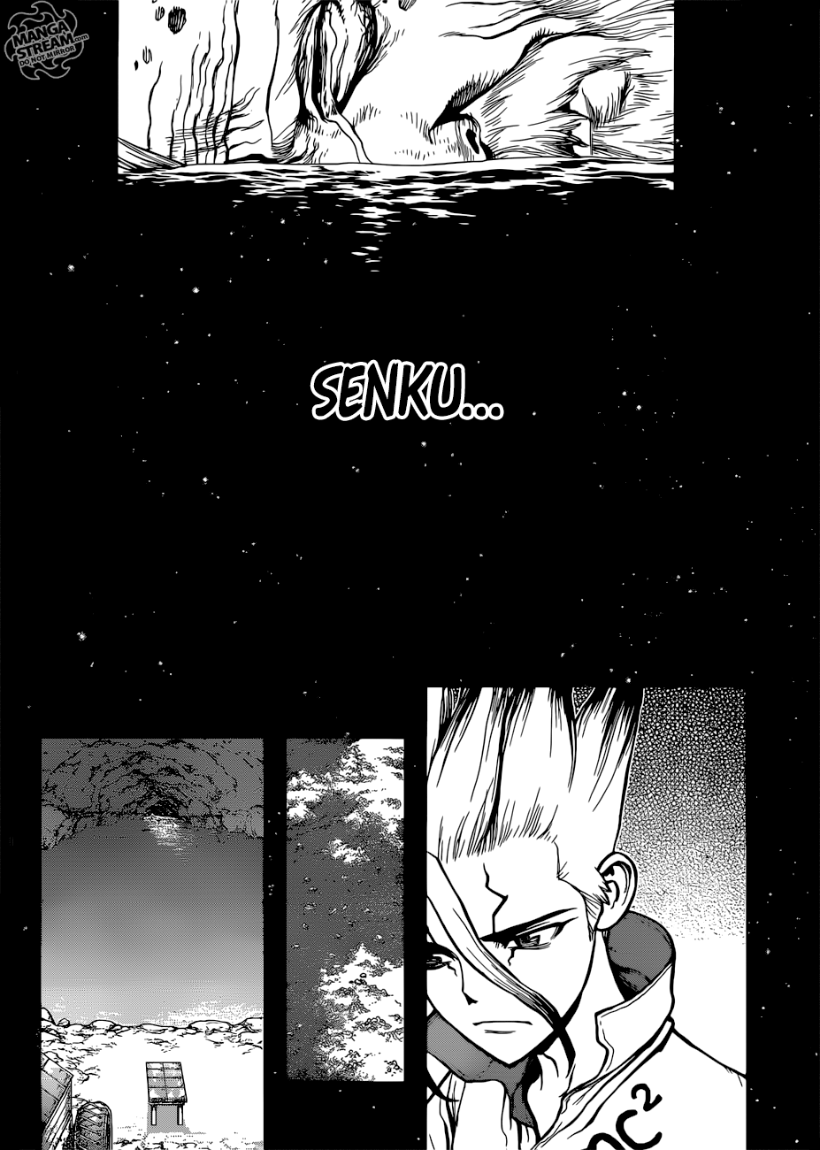 Dr. Stone Chapter 115 17